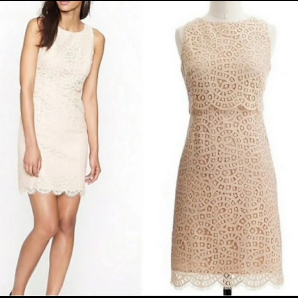 J.Crew lace dress